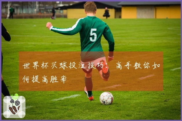 世界杯买球投注技巧：高手教你如何提高胜率