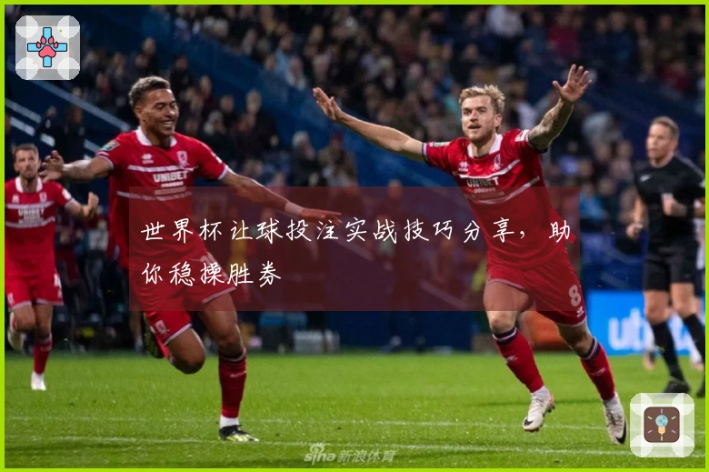 世界杯让球投注实战技巧分享,助你稳操胜券