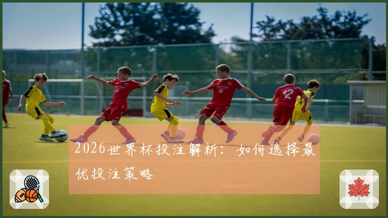 2026世界杯投注解析：如何选择最优投注策略