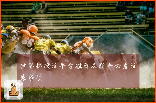 世界杯投注平台推荐及新手必看注意事项