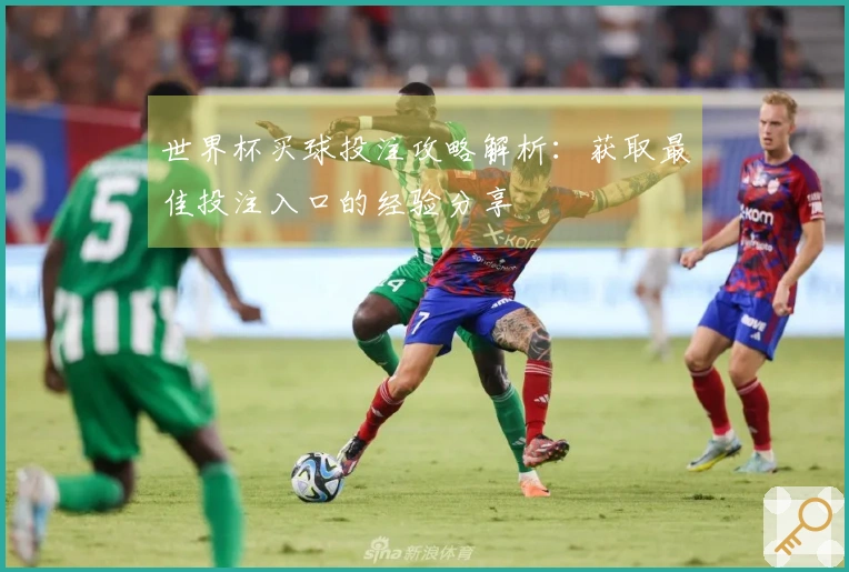 世界杯买球投注攻略解析：获取最佳投注入口的经验分享