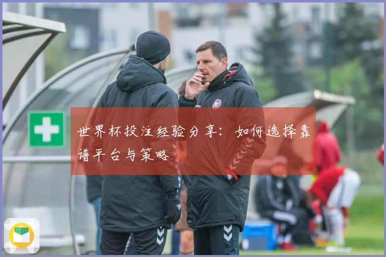 世界杯投注经验分享：如何选择靠谱平台与策略