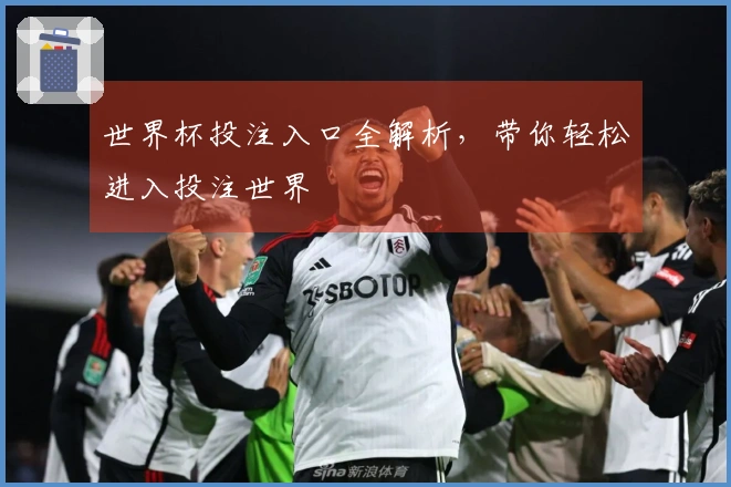 世界杯投注入口全解析，带你轻松进入投注世界