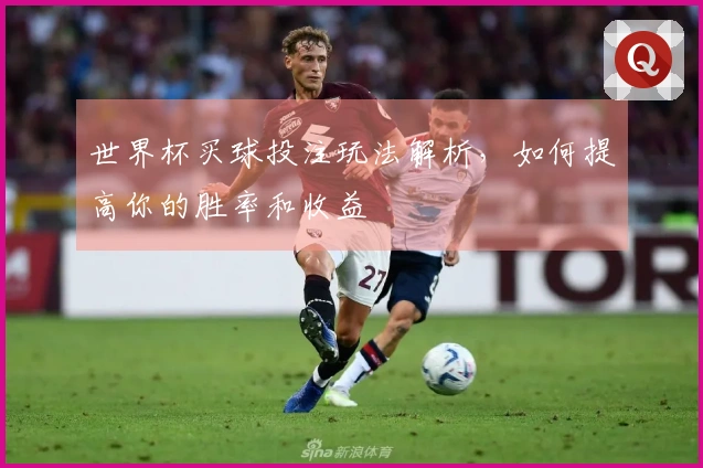 世界杯买球投注玩法解析，如何提高你的胜率和收益
