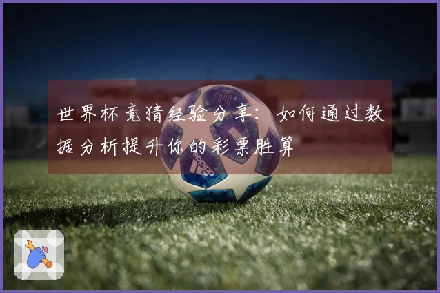世界杯竞猜经验分享：如何通过数据分析提升你的彩票胜算