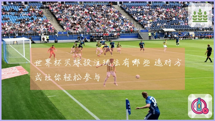 世界杯买球投注玩法有哪些 选对方式让你轻松参与
