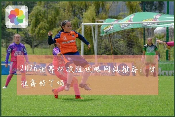 2026世界杯投注攻略网站推荐，你准备好了吗