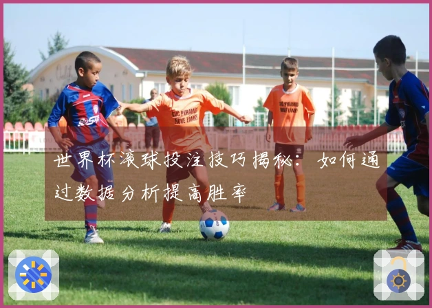 世界杯滚球投注技巧揭秘：如何通过数据分析提高胜率