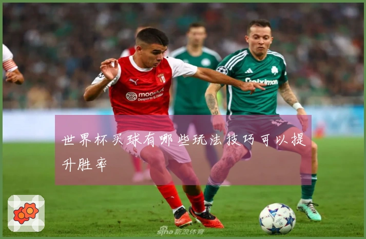 世界杯买球有哪些玩法技巧可以提升胜率