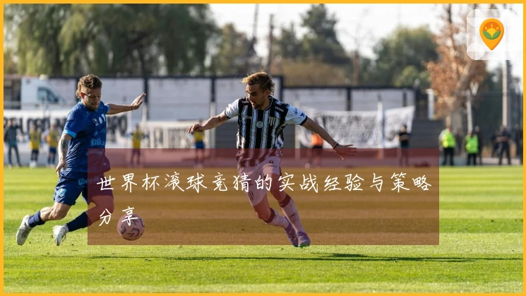 世界杯滚球竞猜的实战经验与策略分享