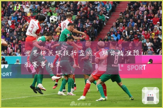 世界杯买球技巧盘点，助你精准预测赛事结果